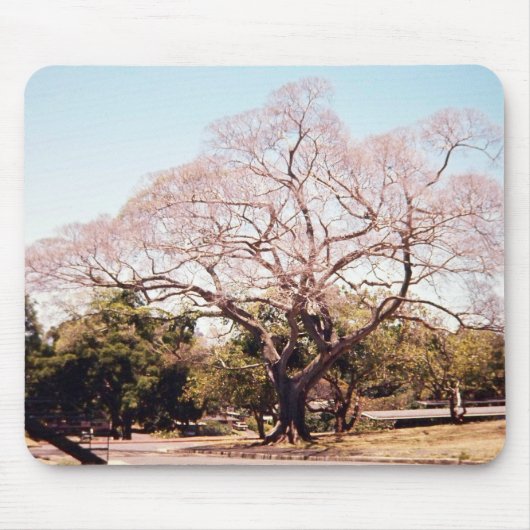 boommousepad muismat (Voorkant)