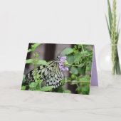 boomnimf kaart (Voorkant)