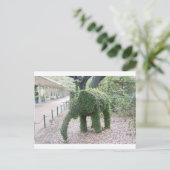 Boomolifant Briefkaart (Staand voorkant)