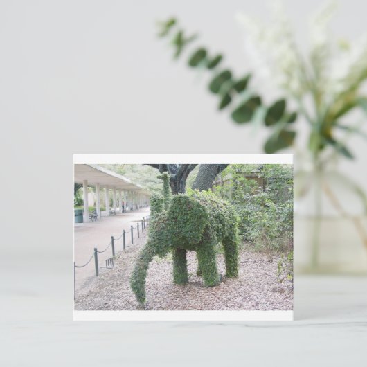 Boomolifant Briefkaart (Staand voorkant)