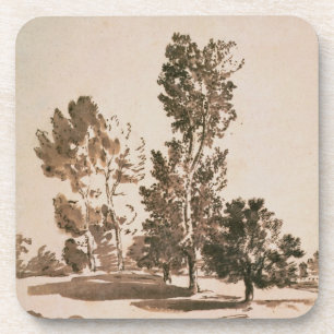 Boomonderzoek (pen en inkt op papier) bier onderzetter