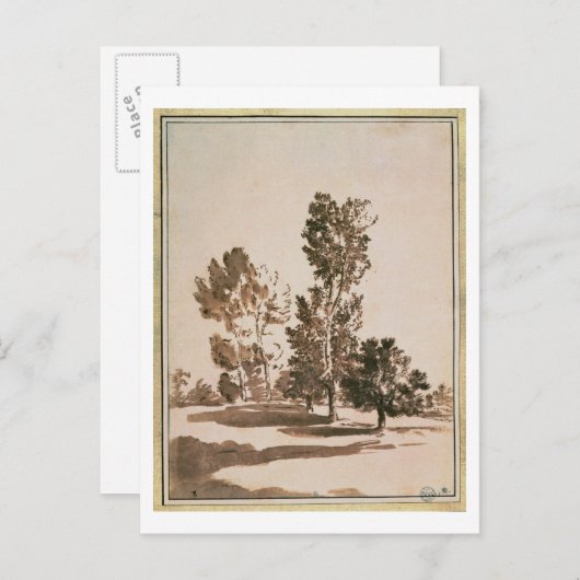 Boomonderzoek (pen en inkt op papier) briefkaart (Voorkant / Achterkant)