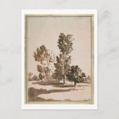 Boomonderzoek (pen en inkt op papier) briefkaart (Voorkant)