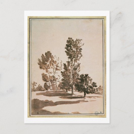 Boomonderzoek (pen en inkt op papier) briefkaart (Voorkant)