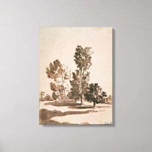 Boomonderzoek (pen en inkt op papier) canvas afdruk