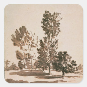 Boomonderzoek (pen en inkt op papier) vierkante sticker