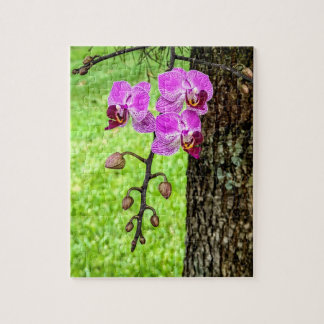 Boomorchidee in bloei legpuzzel