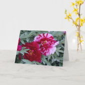 Boompioen "Shimi Nishiki" Kaart (Gele Bloem)