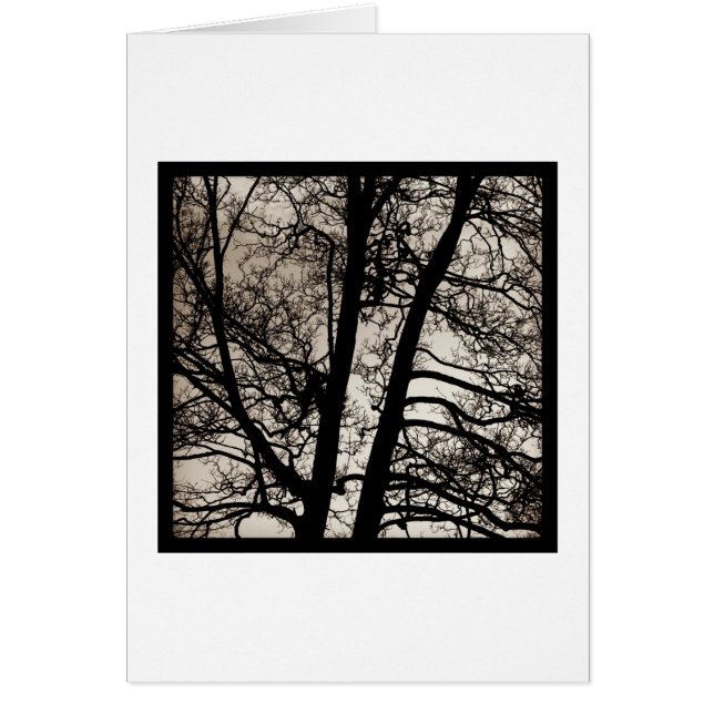 boompitten (Voorkant)