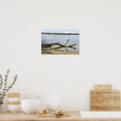 Boomreflectie in rivierposter poster (Keuken)