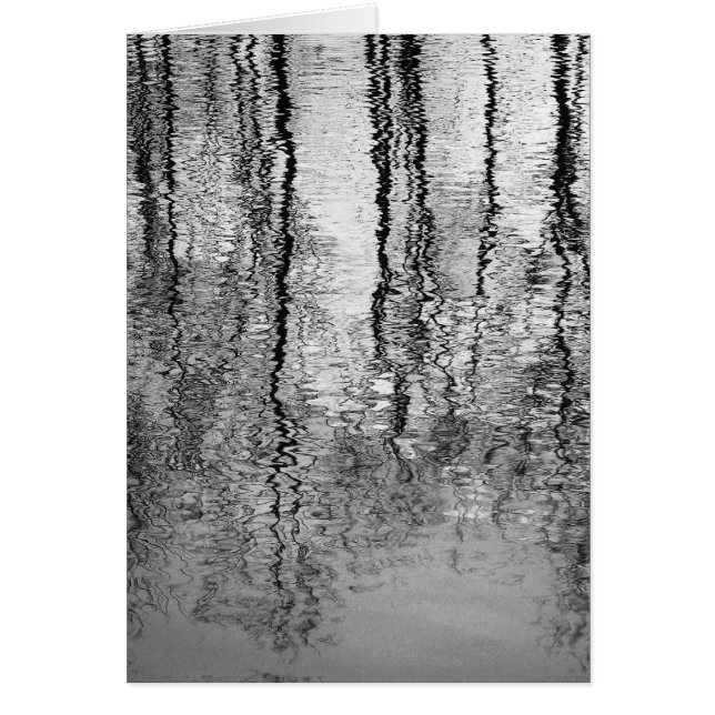 Boomreflecties (Voorkant)