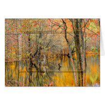 Boomreflecties/COLLECTIE van de WETLANDEN — blanco