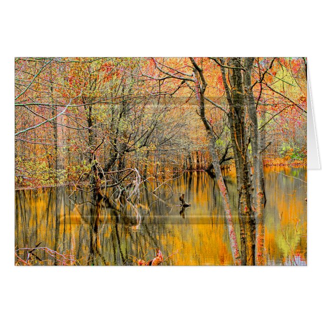 Boomreflecties/COLLECTIE van de WETLANDEN — blanco (Voorkant Horizontaal)