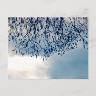 Boomreflecties op water Natuurfotografie Briefkaart