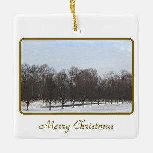 Boomrij in het Ornament van Snow
