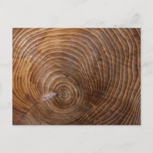 Boomringen Briefkaart