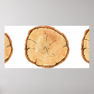 Boomringen. Waterverf illustratie. hand getekend Poster