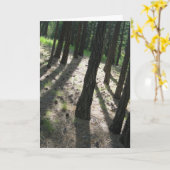 boomschaduwbos kaart (Gele Bloem)