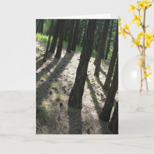 boomschaduwbos kaart (Gele Bloem)