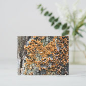 boomschimmel briefkaart (Staand voorkant)