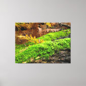 Boomschors in herfstmos - canvas afdruk (Voorkant)