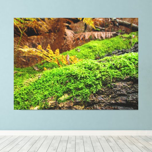 Boomschors in herfstmos - canvas afdruk (Insitu (Houten vloer))