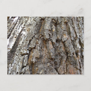 Boomschors IV Abstracte Natuur Briefkaart