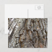 Boomschors IV Abstracte Natuur Briefkaart (Voorkant / Achterkant)