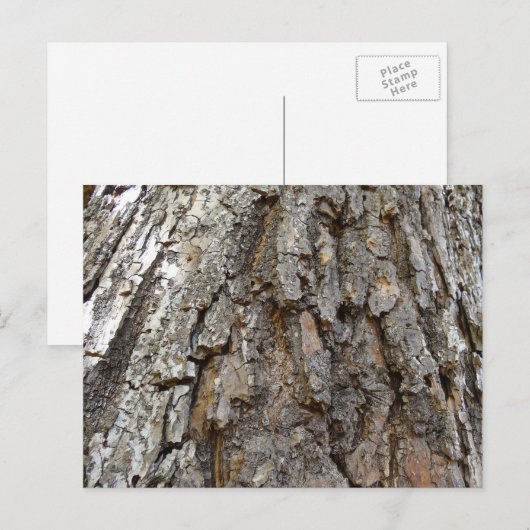 Boomschors IV Abstracte Natuur Briefkaart (Voorkant / Achterkant)