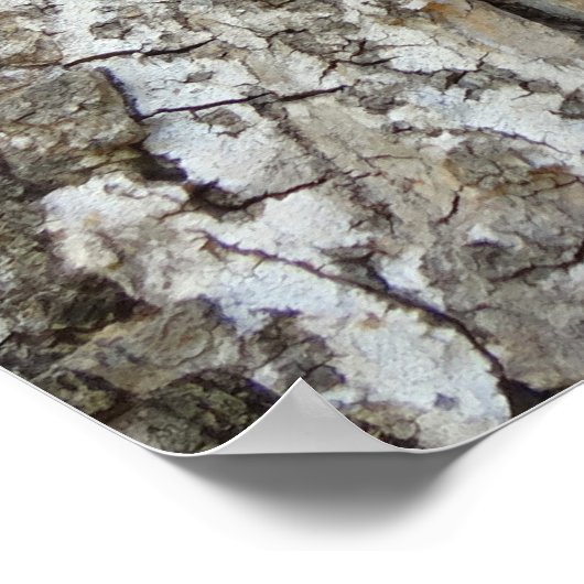 Boomschors IV Abstracte Natuur Poster (Hoek)