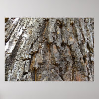 Boomschors IV Abstracte Natuur