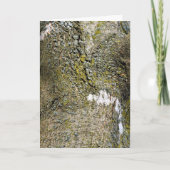 Boomschors met Moss Close Up Kaart (Voorkant)