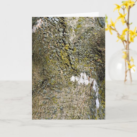 Boomschors met Moss Close Up Kaart (Gele Bloem)