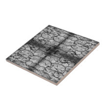 Boomschors Zwart Wit Foto Close-up Patroon