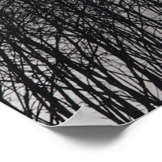 boomsilet poster (Hoek)