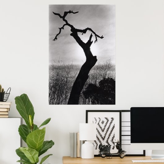 boomsilet poster (Thuiskantoor)