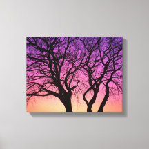 Boomsilhouetten in de zonsondergang - Canvas Print