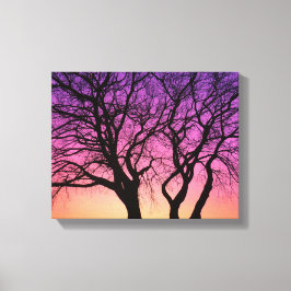 Boomsilhouetten in de zonsondergang - Canvas Print