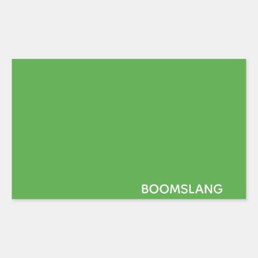 Boomslang groene kleurnaam rechthoekige sticker (Voorkant)