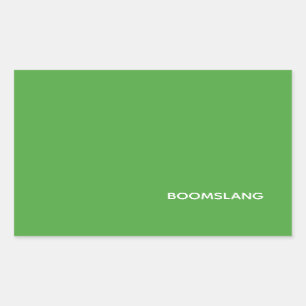 Boomslang groene kleurnaam rechthoekige sticker