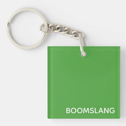 Boomslang groene kleurnaam sleutelhanger (Voorkant)