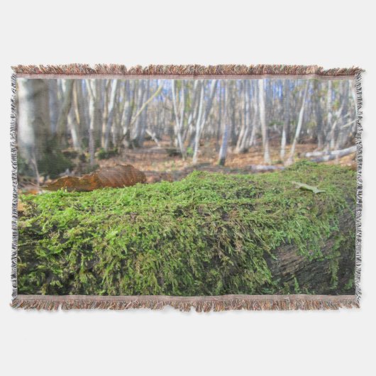 Boomsluimers in het herfstmos - gepersonaliseerd deken (Voorkant)