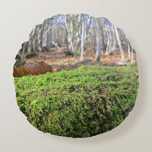 Boomsluimers in het herfstmos - gepersonaliseerd rond kussen (Voorkant)