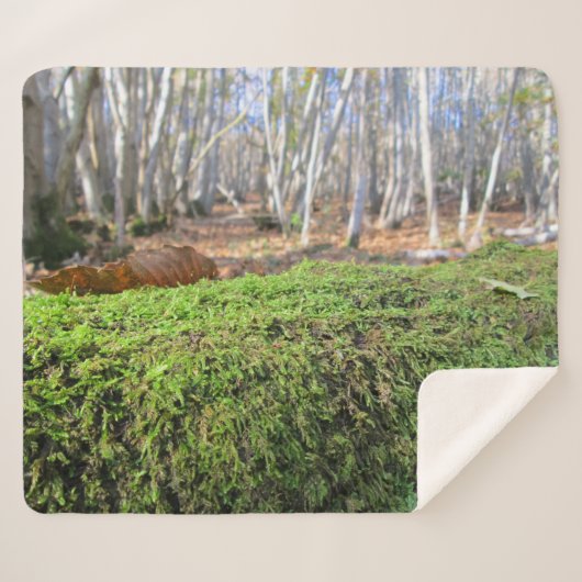 Boomsluimers in het herfstmos - gepersonaliseerd sherpa deken (Voorkant (horizontaal))