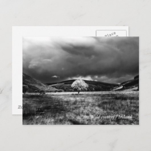 Boomsoorten op het platteland briefkaart (Voorkant / Achterkant)