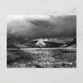 Boomsoorten op het platteland briefkaart