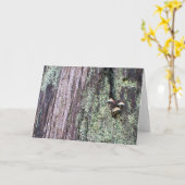 Boomstam 2 van de boom kaart (Gele Bloem)