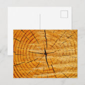 boomstam briefkaart (Voorkant / Achterkant)