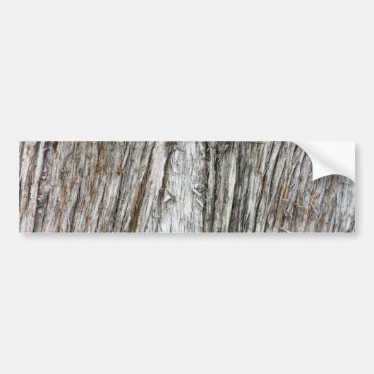 boomstam bumpersticker (Voorkant)