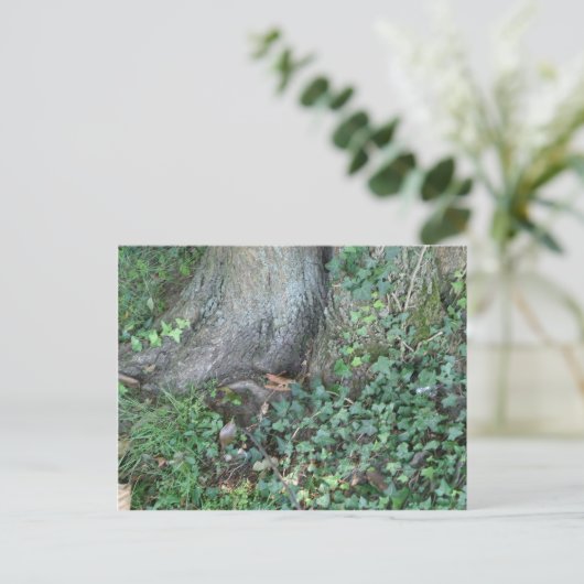 Boomstam en vijver in het bos briefkaart (Staand voorkant)